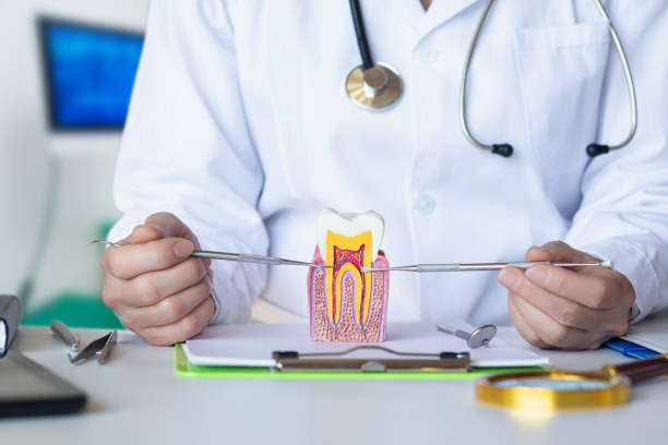 Best Chipped Tooth Repair Near Me  in Cresson, PA